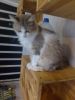 Frieda (4)